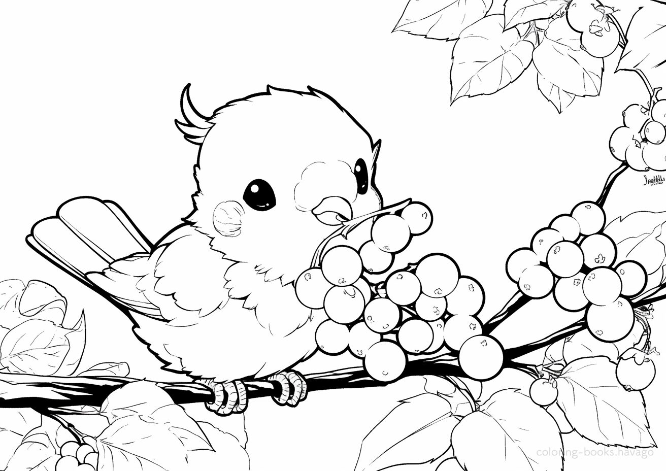 木の実をついばむ小鳥の塗り絵 | ハバゴ