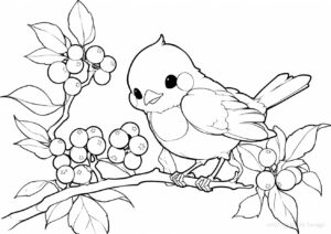 美味しそうな木の実を見つけた小鳥の塗り絵 | ハバゴ