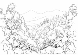 Mountain Landscape with Blooming Flowers Coloring Page. | havago