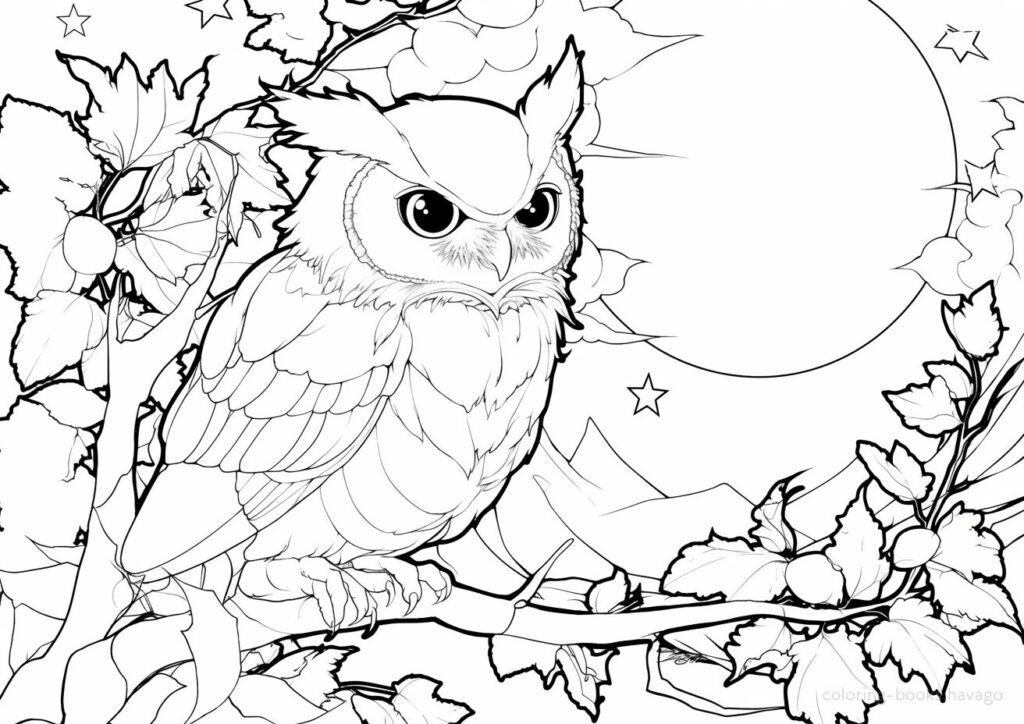 月夜の森を見守るフクロウの塗り絵 | ハバゴ