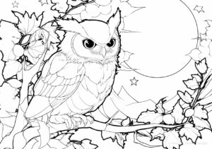 月夜の森を見守るフクロウの塗り絵 | ハバゴ