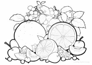 新鮮なフルーツの塗り絵です。 | ハバゴ