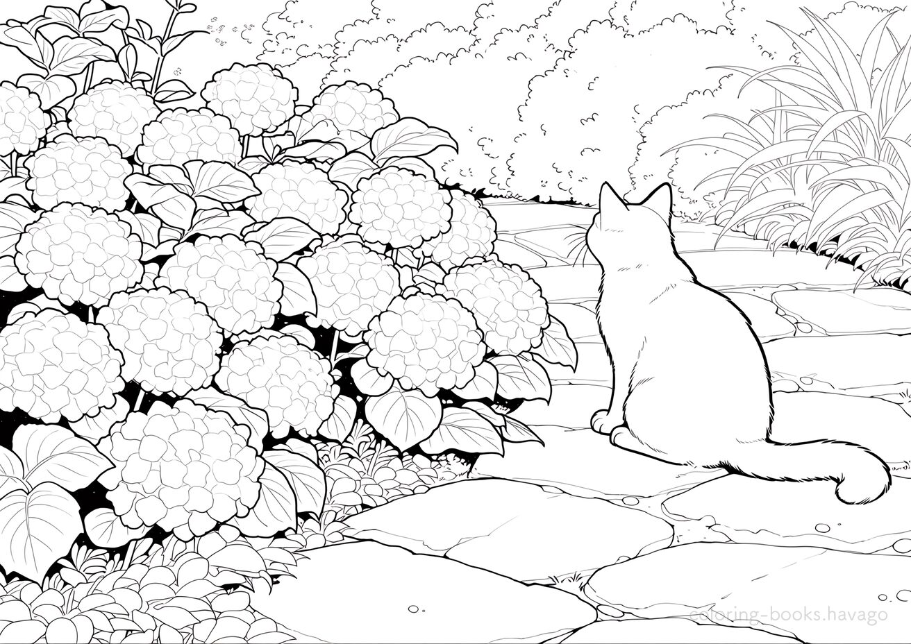 Coloring Page of A Cat's Walking Path with Hydrangeas in Bloom. | havago