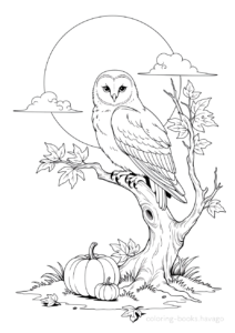 満月とフクロウの塗り絵 | ハバゴ